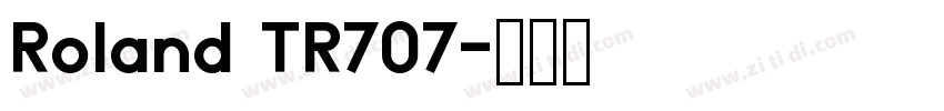 Roland TR707字体转换